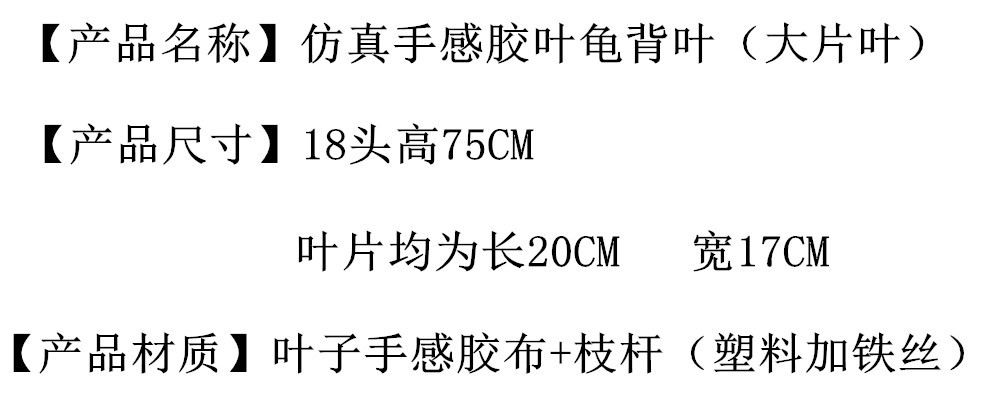 未命名_副本