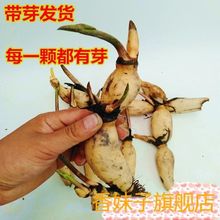 ^pɻNźɏźNɏԺɻˮļ_҃⎧ѿ