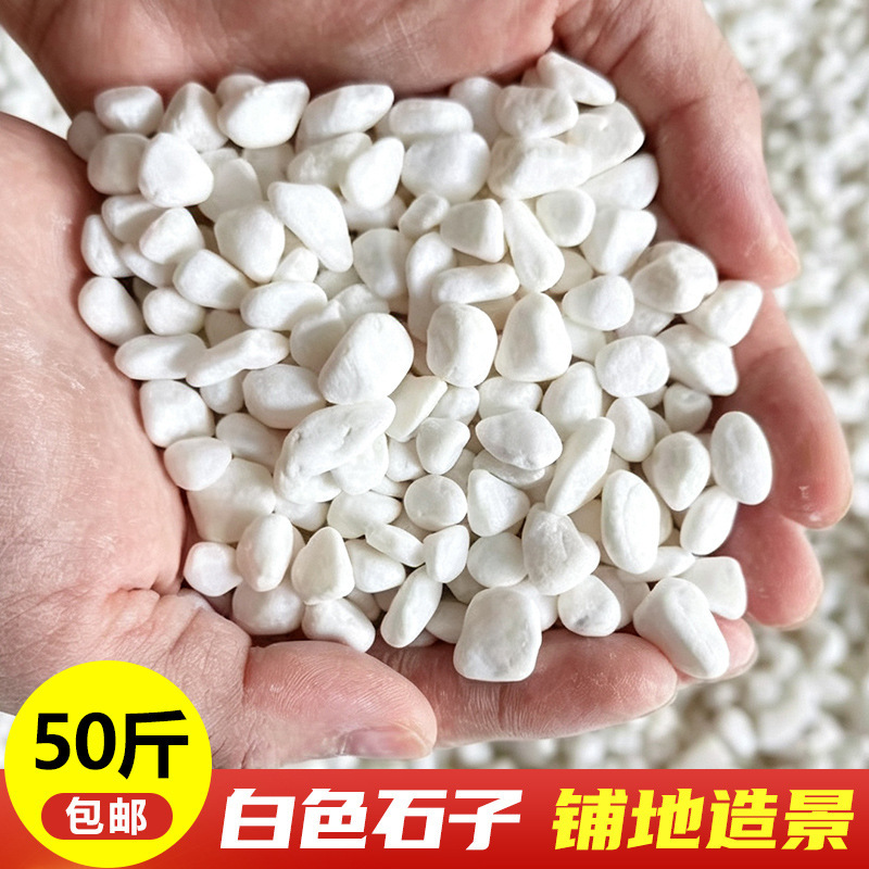 White Pebbles for Landscaping, White Rice Stones for Courtyard Paving, White Cobblestones for Garden Decoration, Engineering Paving Stones, Washed Stones