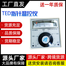 TED指针式温控仪TEA TDA TDW TE-01温控仪