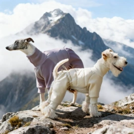 狗狗服装;狗狗牵引