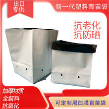 ֱ�N�ڰ׷Nֲ���{ݮ�Nֲ�� ���|�� �Nֲ���I�B�����b��Ҭ�������