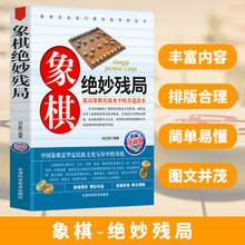 象棋绝妙残局象棋杀招象棋战术教程布局象棋残局中国象棋书入门棋