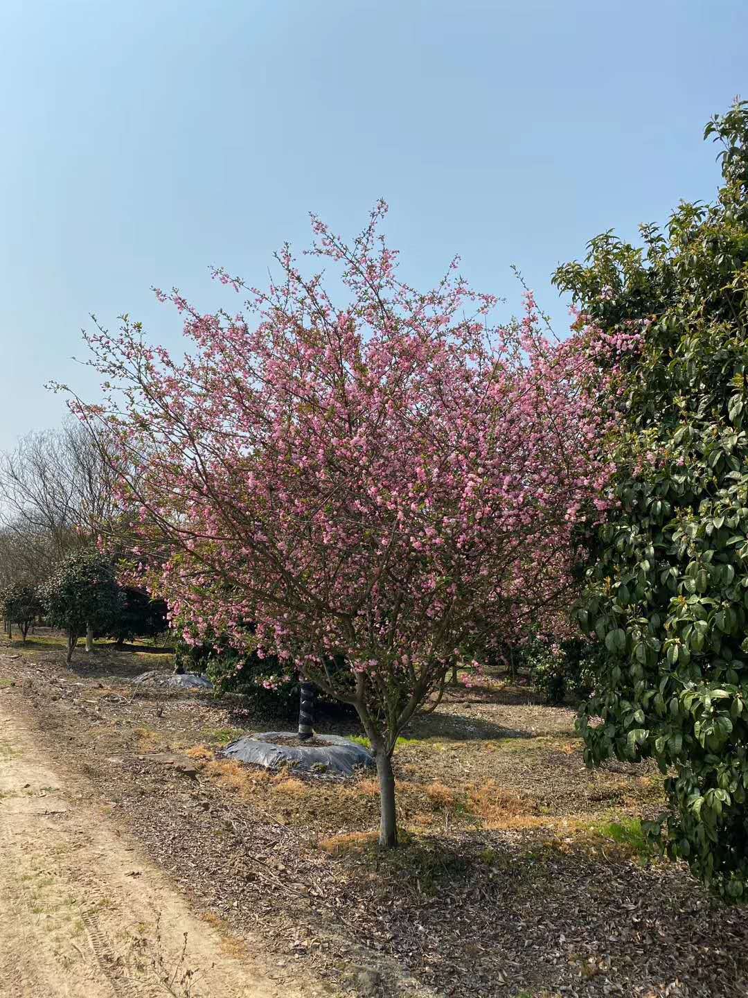 微信图片_20200710174831