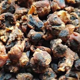 �S�ҹ�����ϼ���������ؐ������Tʳ�~�D����۠I�B�ߵ���