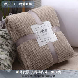 跨境加厚保暖法莱绒毛毯沙发毯纯色午睡办公室盖毯珊瑚绒空调毯子