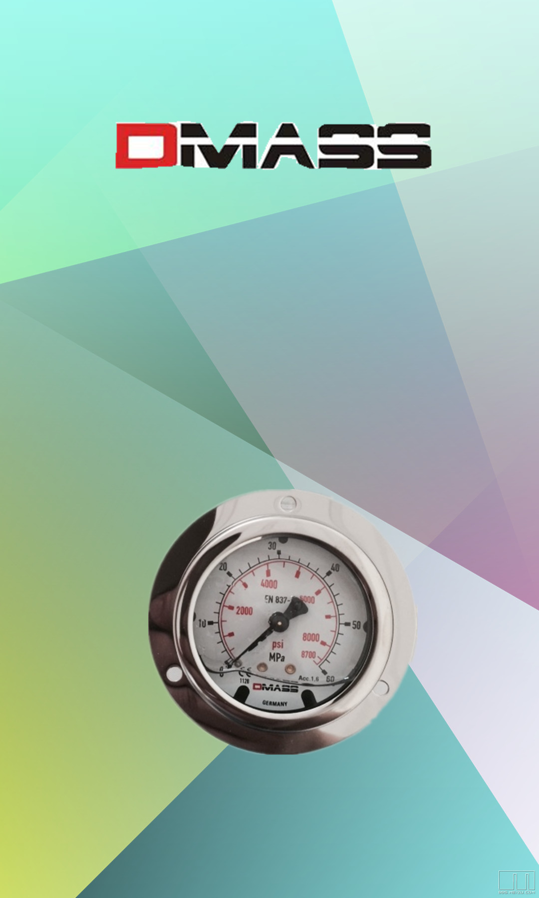 德国德玛仕DMASS压力表MBB06B-160-1-14R-Z-Z