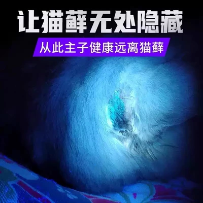UV fənərlər, 365Nm Uv Flashlight for Home