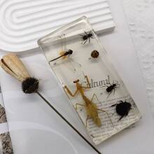 �挍��ֲ�����Lʷdiy�˱���֬���x����С�W����̲������������l