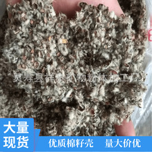 供应食用菌培育棉籽壳 蔬菜大棚用棉籽壳 中壳中绒长绒棉籽壳