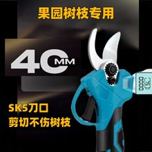 �oˢ늼����ֳ�С�͹��@��֦�@ˇ�늳�늴���ȫ�Ԅ���֦��E18