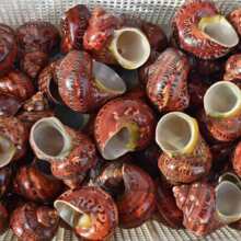 ����ؐ��؈��΁ţ�����ݾG���~��ˮ���쾰��ؐ�~�ľ�з�Q��