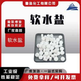 氯化钠 软水机专用盐 离子交换树脂再生剂工业片状软水盐