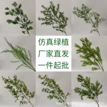 ��c�Gɫ���滨ɭϵ����Gֲ�ٻ�������Y�ò��ýY���b������~