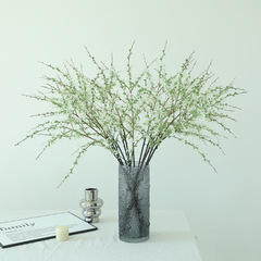 北欧の雪柳の枝は花の高級感をシミュレーションします。