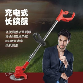 洗车水枪;割草机;筋膜枪