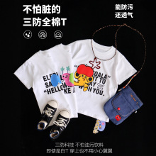 ͯ�b����ɐ���ʽ��ĸ�T�f��T���A�I�������^�����e���s