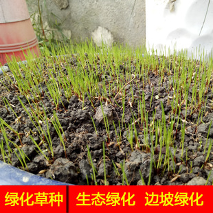 �ɶ�߅�¾G���ݷN���o�·�ˮ����ʧ�ݷN�o�¹������Ѹ��F�o�²ݷN