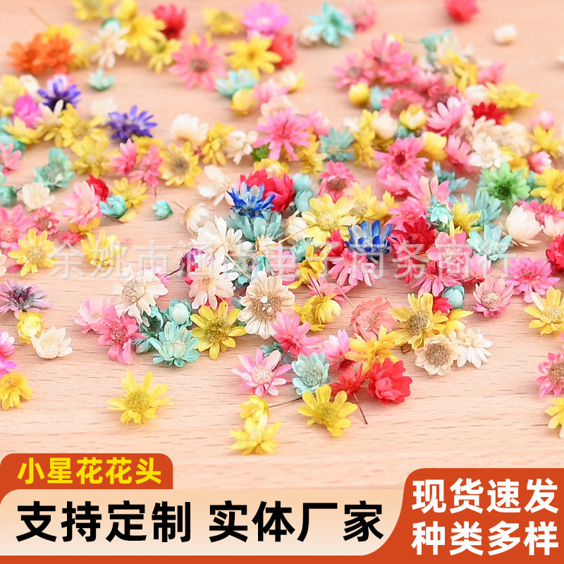 Mini cabezas de flor de margarita brasileña sin tallos, flores secas DIY, relleno de resina de cristal, cabezas de flores secas para decoración.