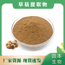 草菇提取物 水溶草菇粉 稻草菇 兰花菇 麻菇提取物 厂家1KG包邮