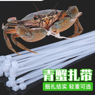 厂家供应批发自锁式螃蟹扎带 强力捆紧塑料白色束线带3*150*200mm