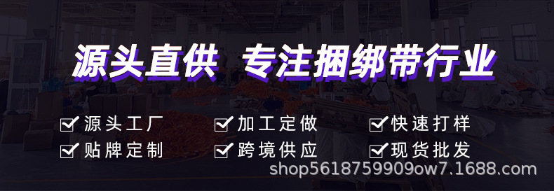 Small 2-inch tensioner binding belt car rope tensioner container packing cargo fixing tensioner small 5cm wide