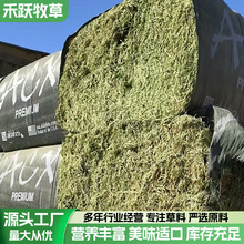 2025������ACX��ޣ��ţ���R���ݸɄ���@�ò����ϻ���ޣ��