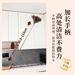 ���l�羳���u��s�U�r�Bë�����坍�r�Bë�ۼ��ó��m�����uë����
