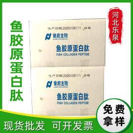 鱼胶原蛋白肽 食品级鱼胶原蛋白肽粉 胶原蛋白水溶性胶原肽