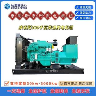 ����˹ 300KVA�o���l늙C���I�����Ͱl늙Cͣ늑������������