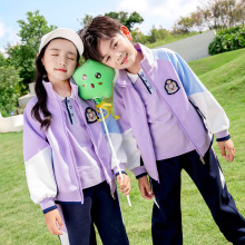 秋季幼儿园园服紫色拉链衫不连帽运动学院套装小学生儿童班服校服