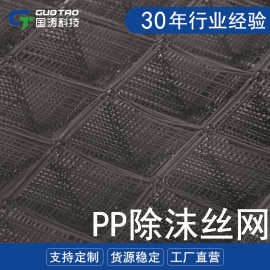 pp除沫器气液过滤网除雾器分离塔除雾器金字塔捕沫器阻雾网