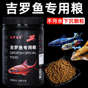 Giro Fish Feed High Protein Blue Red Gold Rainbow Giro Fish Food Sinking Type Giro Fish Food Special Nutritional Fish Food