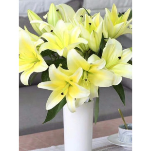 Perfume Lily Multi-Headed Flower Bouquet Yunnan Kunming Base Now Picked Straight Hair Water to Raise Flowers Real Flowers Yunnan