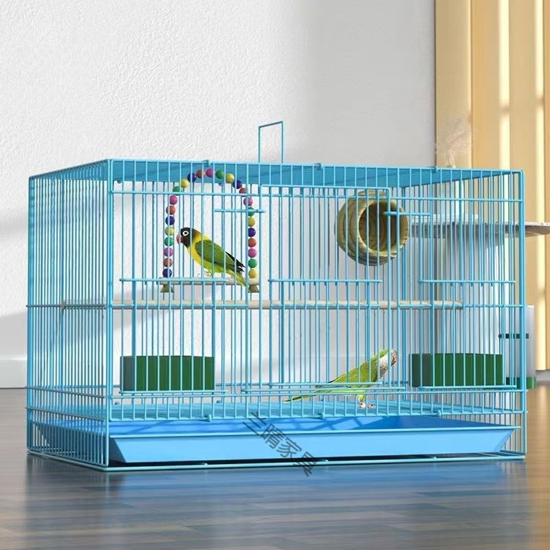 3dcb91ae-8663-4f35-a821-7aef471f84c2.jpe