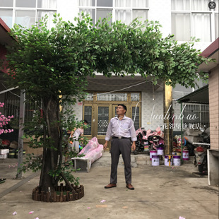 �������҃��b��ͼ٘�����Ř��bƵ��d��c�bGֲ����