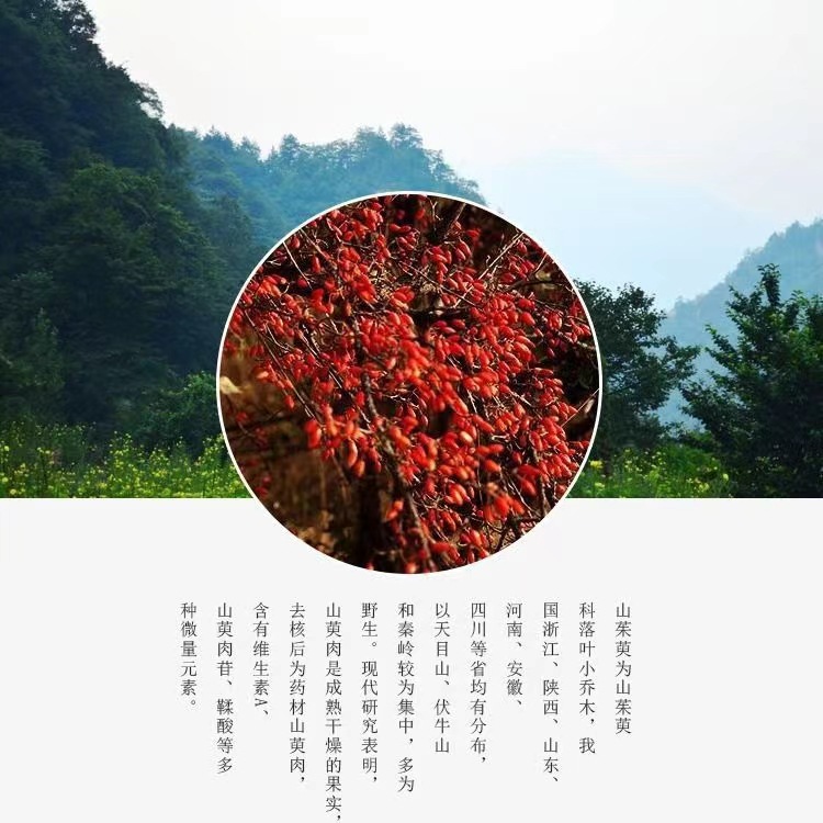 Dried Cornus Fruit Shan Zhu Yu 500g Natural Sun Dried Chinese Herbal Slices from Henan key features