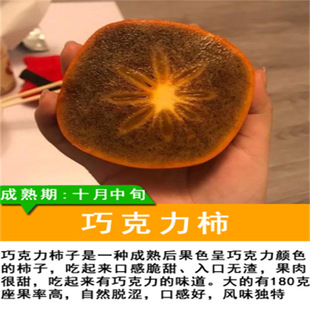 �޽��ɿ��������Ә����Ϸ������Nֲ�ڸʘ���ڽ��������������