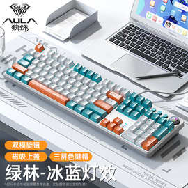 狼蛛F2088Pro机械键盘高颜值拼色电竞游戏键盘带磁吸速卖通亚马狲