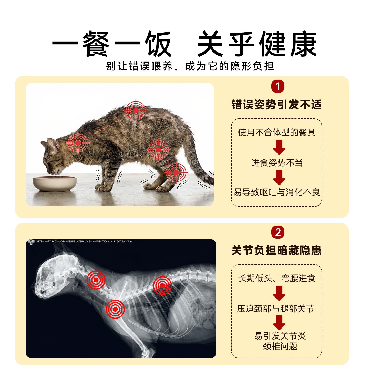 Nuevos productos de marca conjunta ajustable tazón de cerámica protector de mascotas volcado tazón de perro ajustable altura tazón de comida para gatos tazón de agua para mascotas