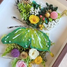 ���������ֹ����ϰ�diy��֬���z�ͮ������ɻ����������쮋