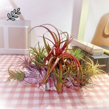 �՚��P�����ˇ�g���P����՚��b�����Gֲ�͏d�̨���һ���