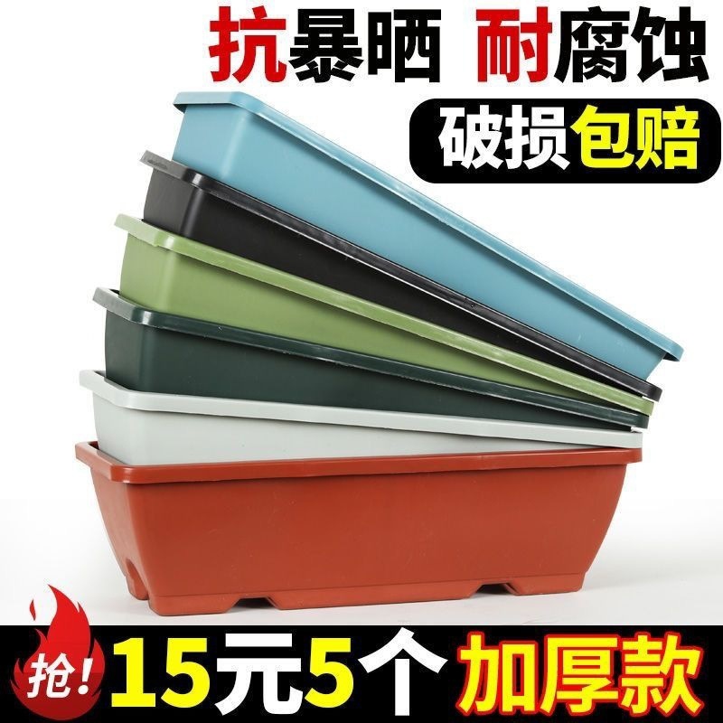 8de2e44f-4b75-4f08-9a82-34f324f7e5b7.jpe