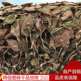 金线莲 福建 土楼 野生 整株干品 养生茶 10克到50克多规格可选包