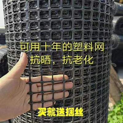 养鸡养鸭塑料养殖网围栏网防护隔离网玉米网栅栏网果园圈地防护网|ru