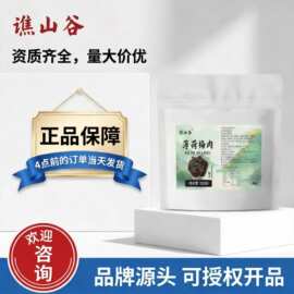 谯山谷薄荷梅肉100g即食水果干果脯蜜饯办公室休闲零食可批发代发