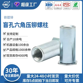 铆钉;螺母;螺钉