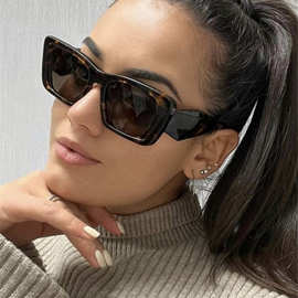 2022 Vintage Cat Eye Sunglasses Women Men Luxury Brand跨境专