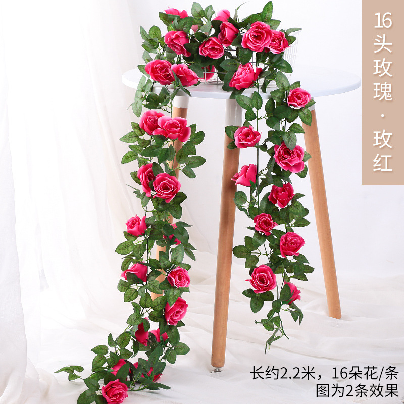 장미 16송이 장미 레드