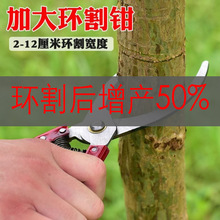 �����]����h��h�����h֦�� ��֦�̽����ֹ��䄃Ƥ�h����ѿ��